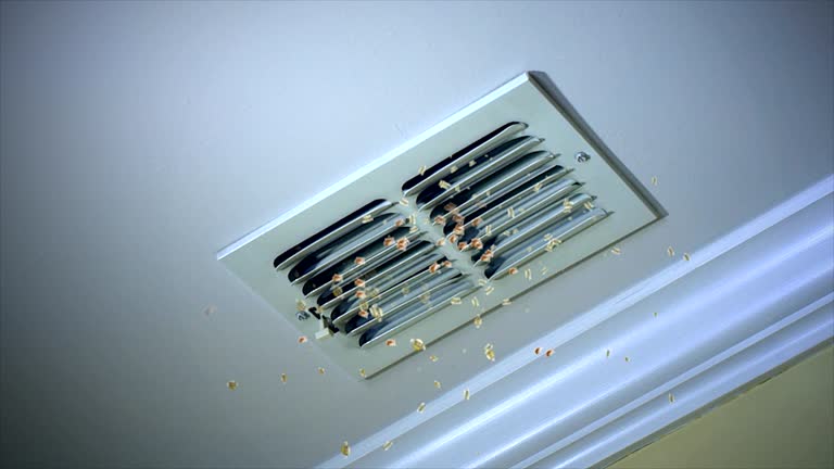 Best Affordable Duct Cleaning Services  in Kekaha, HI