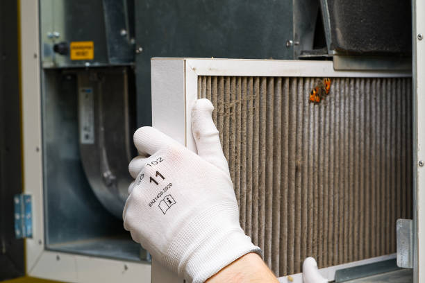 Best Air Duct Mold Removal  in Kekaha, HI