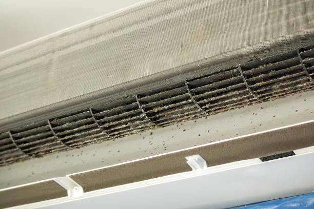 Best Home Air Vent Cleaning  in Kekaha, HI